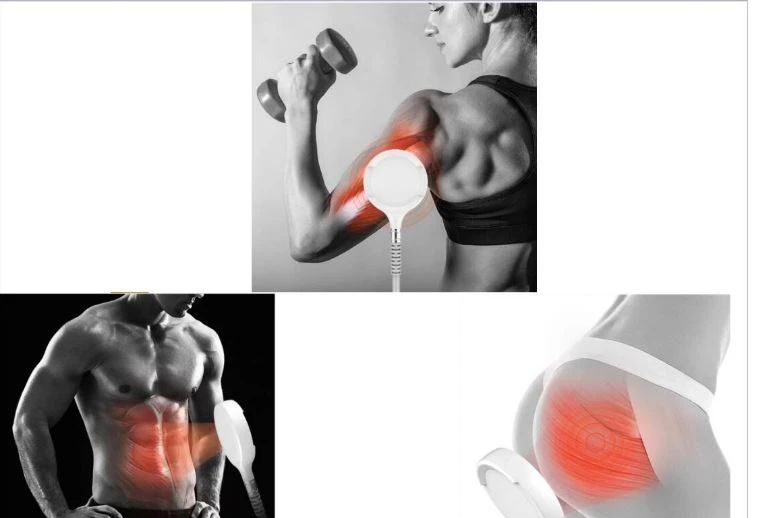 Newest Four Handled EMS Machine For Body Scuplting And Muscle Building Machine